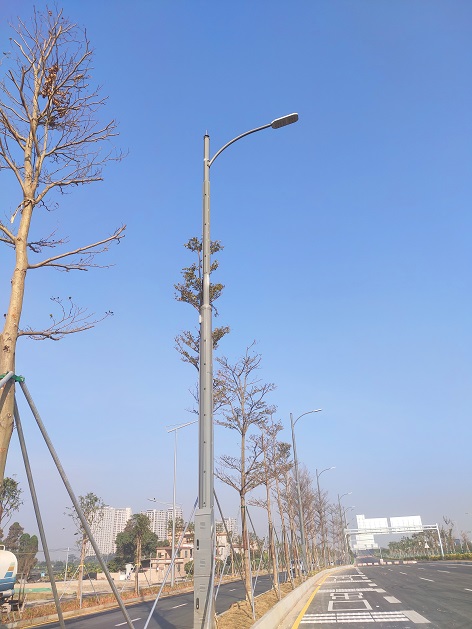 鉴黑担保网(jhdbw)·最具权威唯一维权担保平台